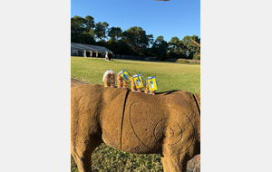 Résultats 3D à Arcachon 12 octobre 2025