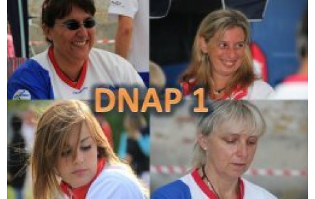 DNAP, flash info 1.