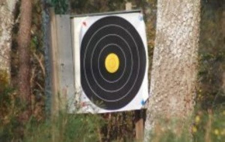 Promenons-nous dans les bois…