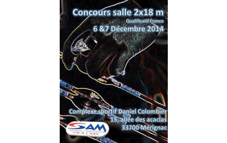 Concours salle Mérignac des 6 et 7 décembre 2014