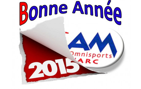 Bonne année 2015!