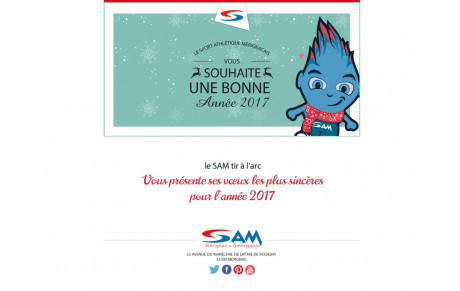 Bonne année 2017!